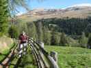 Daniela auf Weg 2A zwischen Öttenbacher Tal und Almbach (23. Mai)