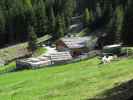 Streitweideralm, 1.560 m (24. Mai)