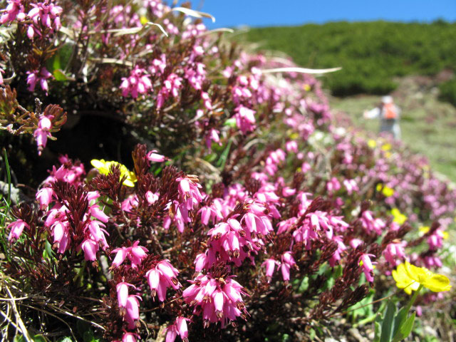 Daniela zwischen Halsl und Birgitzk&ouml;pflh&uuml;tte