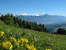 Karwendel vom Telfer Berg aus