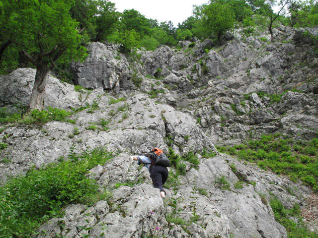 Romantikerpromenade: Irene in der zweiten Seill&auml;nge