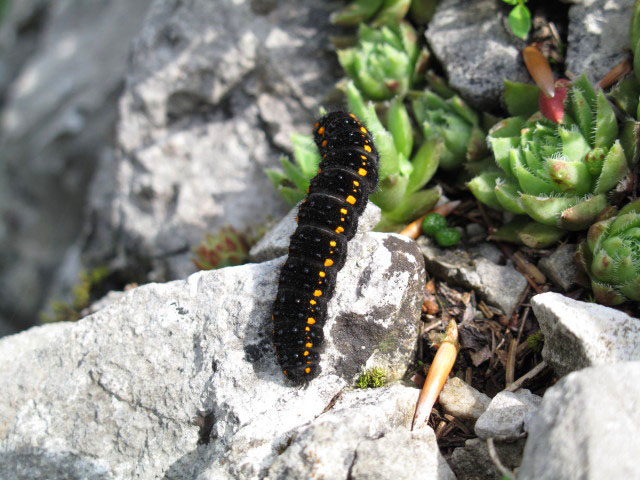 Romantikerpromenade: sechste Seill&auml;nge