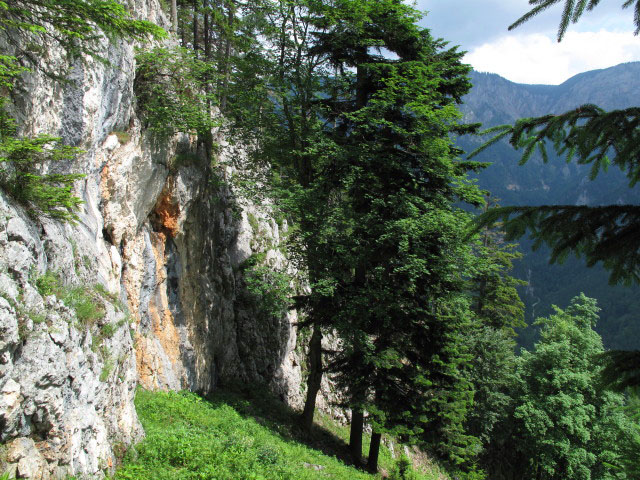 zwischen Romantikerpromenade und Kreuztal