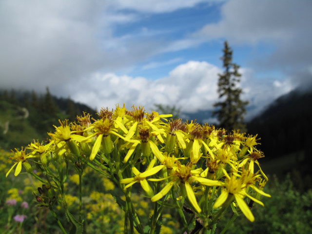 zwischen Parkplatz und Heli-Kraft-Klettersteig