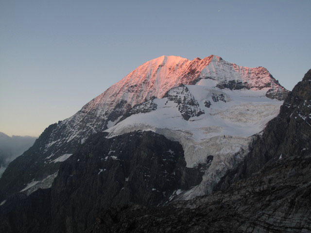 Königsspitze vom Hintergrat aus (21. Aug.)