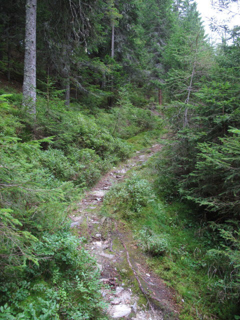 zwischen Peterbauergreut und Mittlere Ställe