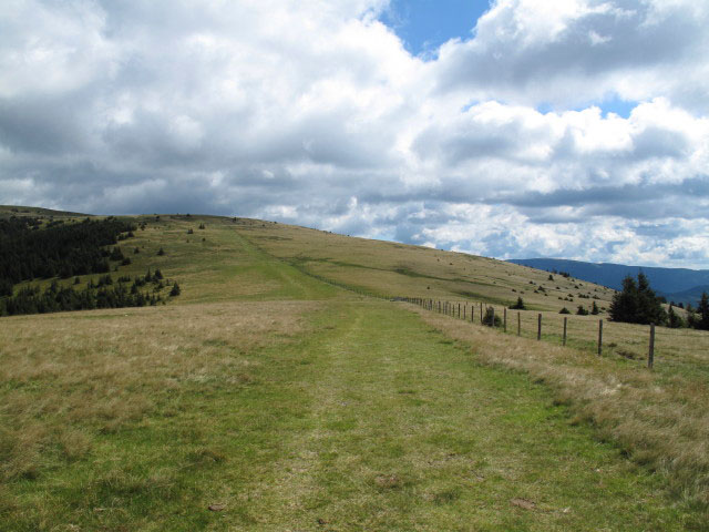 Schwarzriegel