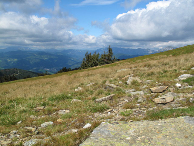 zwischen Schwarzriegel und Stuhleck