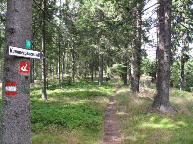 Weinweg zwischen Fanklbauerhöhe und Poirhöhe