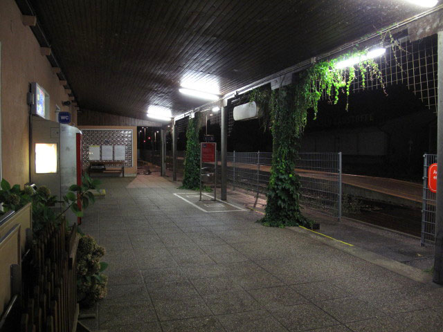 Bahnhof Mattersburg, 243 m (13. Aug.)