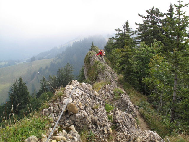 Christoph zwischen Hochh&auml;drich und Falken (4. Sep.)