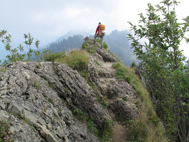 Christoph zwischen Hochh&auml;drich und Falken (4. Sep.)