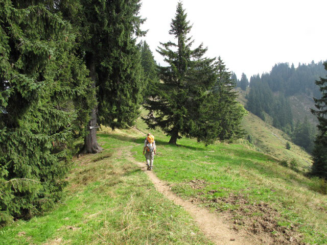 Christoph zwischen Hochh&auml;drich und Falken (4. Sep.)