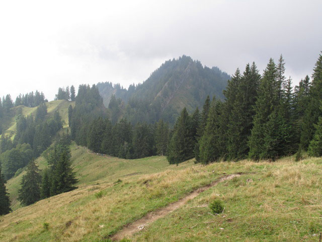 zwischen Hochh&auml;drich und Falken (4. Sep.)
