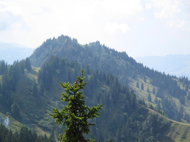 Hochh&auml;drich (4. Sep.)