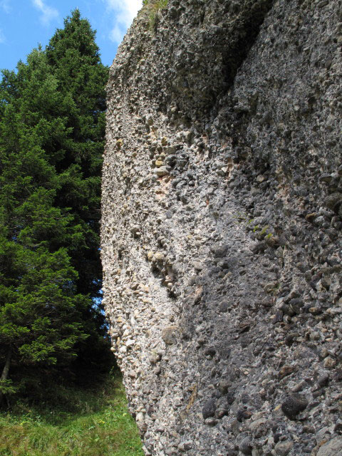zwischen Rohneh&ouml;he und Hohenfluhalpkopf (4. Sep.)