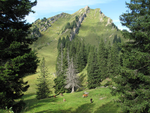 Rindalphorn von der G&uuml;ndlesscharte aus (5. Sep.)