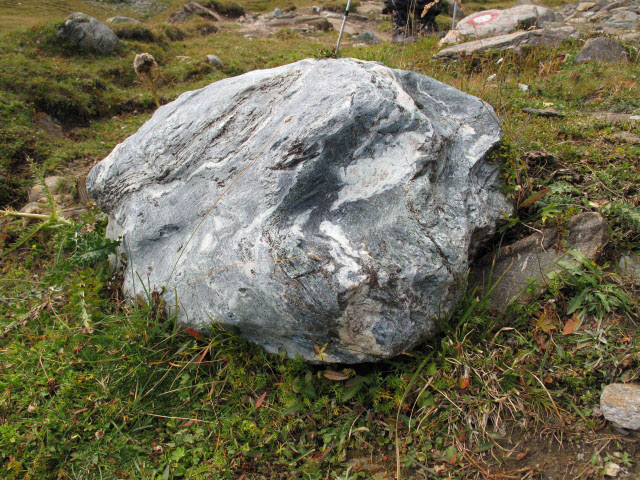 neben dem Pfunderer H&ouml;henweg zwischen Rauhtal und Brixner H&uuml;tte (11. Sep.)