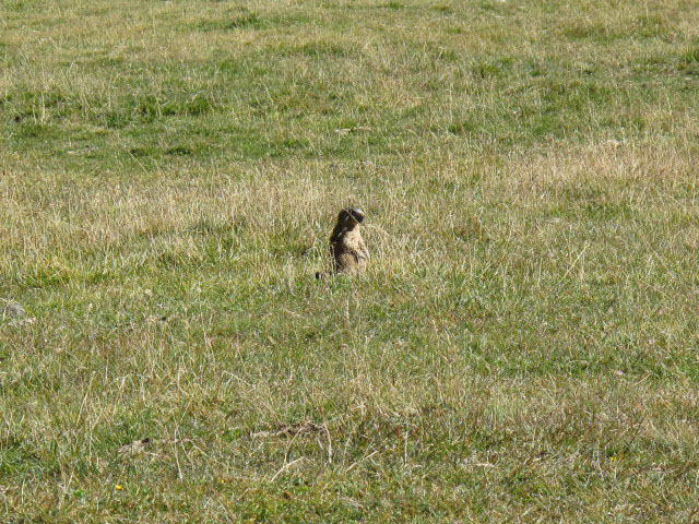 Weitenberg (12. Sep.)