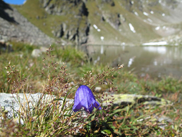 Grindlbergsee, 2.485 m (12. Sep.)