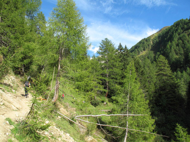 zwischen Oberberg und Pfitscher-Joch-Stra&szlig;e (12. Sep.)