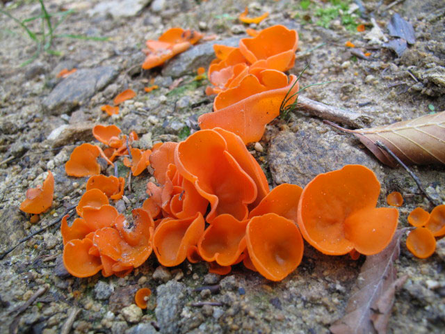 zwischen Herrnplatzl und Adele-H&uuml;tte