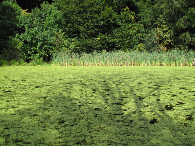 R&uuml;hrsdorfer See