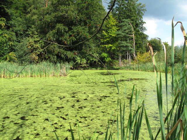 R&uuml;hrsdorfer See