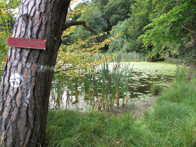 R&uuml;hrsdorfer See