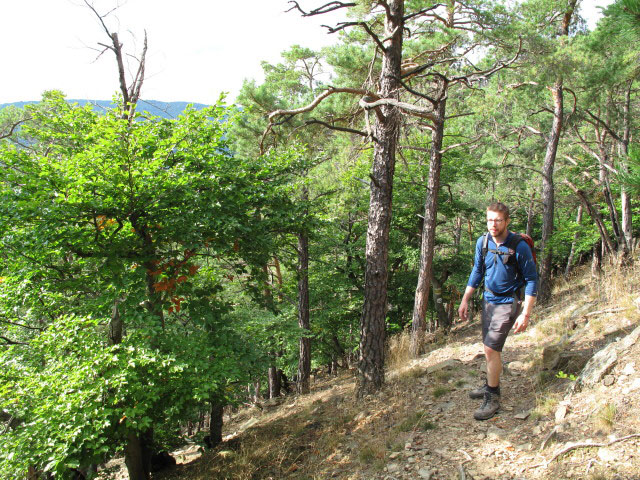 Norbert zwischen Hirschwand und Steinige Ries