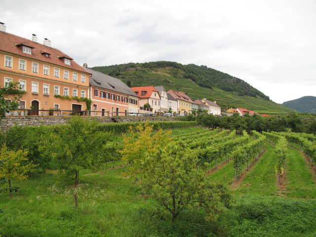 Wei&szlig;enkirchen in der Wachau