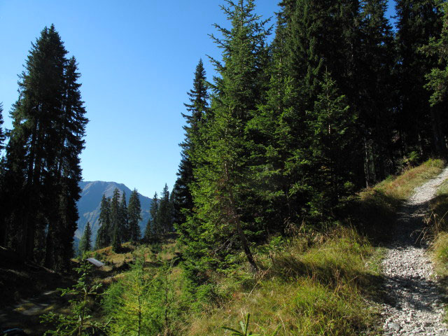 zwischen Mitterwald und Zwiesel (21. Sep.)