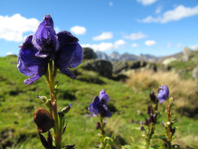 am Hohen B&ouml;sring (21. Sep.)