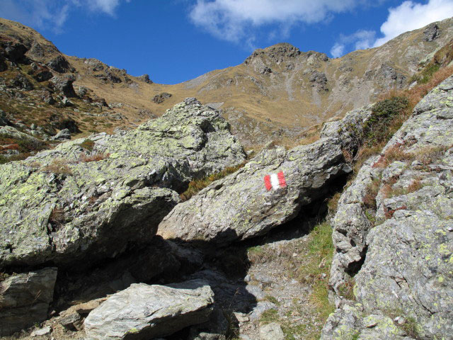 zwischen Hohem B&ouml;sring und Rendlen (21. Sep.)