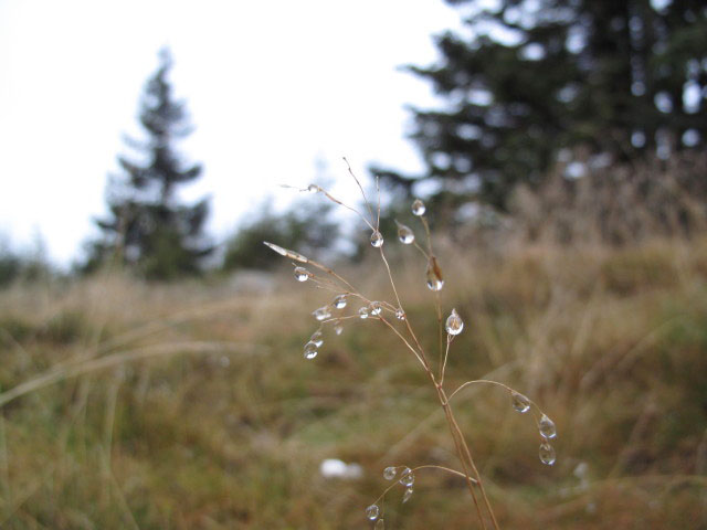 bei der Bergstation der Panoramabahn