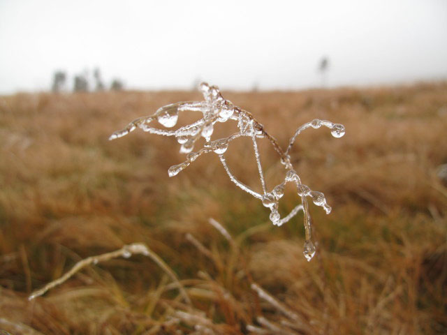 zwischen Niederwechsel und Wetterkoglerhaus