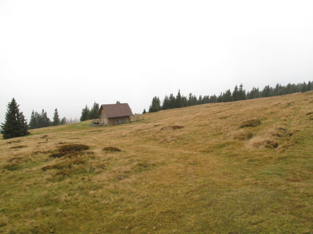 zwischen Wetterkoglerhaus und Vorauer Schwaig