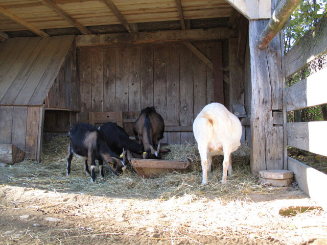 Lebender Bauernhof