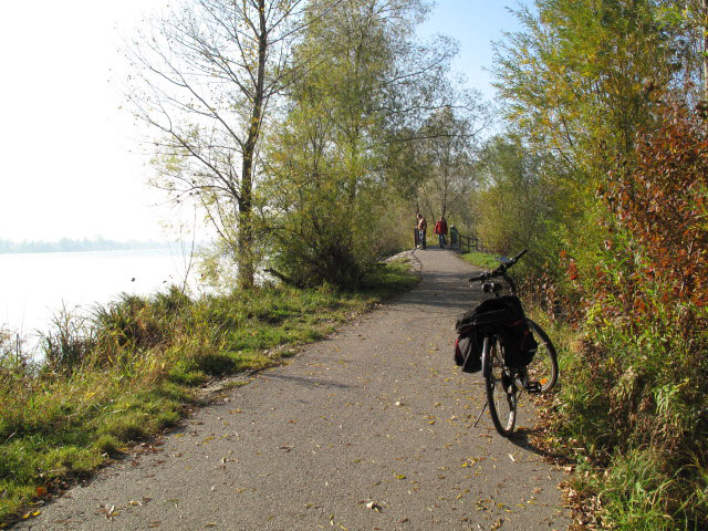 zwischen Greifenstein und Kraftwerk Greifenstein