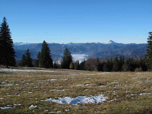 zwischen Lilienfelder Gschwendt und Bergstation des Sessellifts Muckenkogel