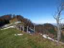 zwischen Traisner Hütte und Sternleiten