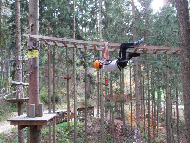 Matthias im Parcours 'Baummarder'