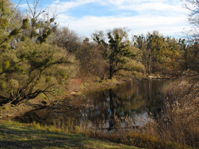 Donau-Altarm bei Witzelsdorf