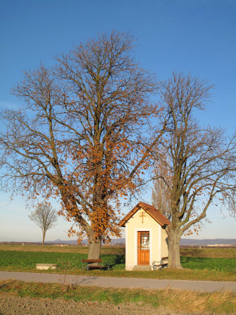 zwischen Stopfenreuth und Engelhartstetten