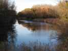 Donau-Altarm bei Witzelsdorf