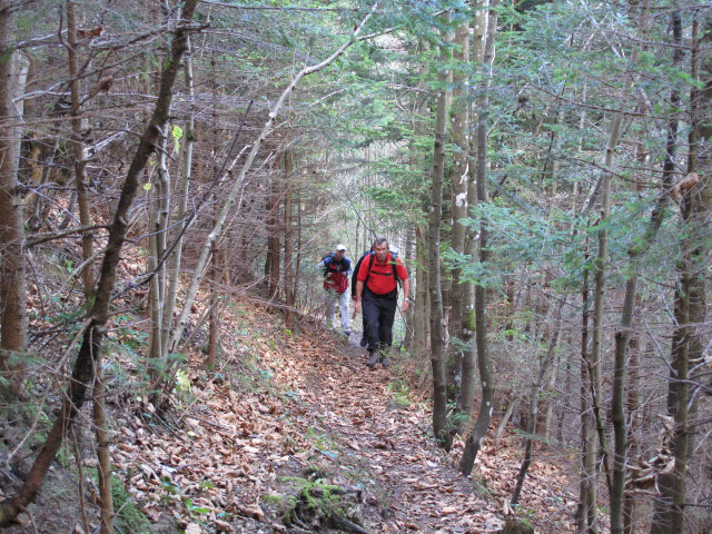 zwischen Kernhof und Waldh&uuml;ttsattel