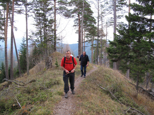zwischen Kernhof und Waldh&uuml;ttsattel