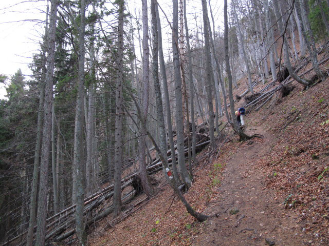 zwischen Kernhof und Waldh&uuml;ttsattel