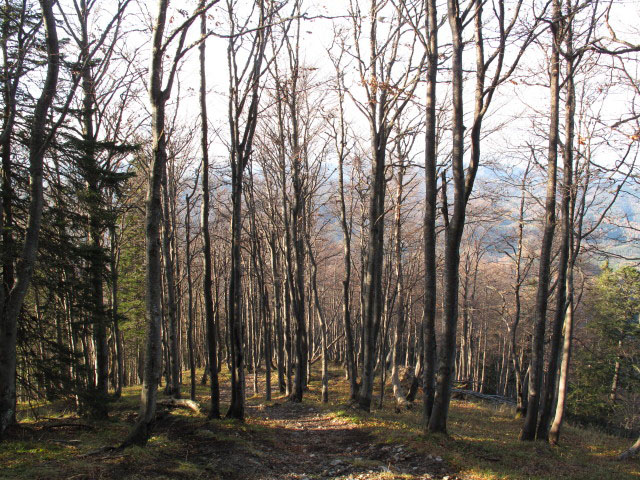 zwischen Gsenger und Gscheid