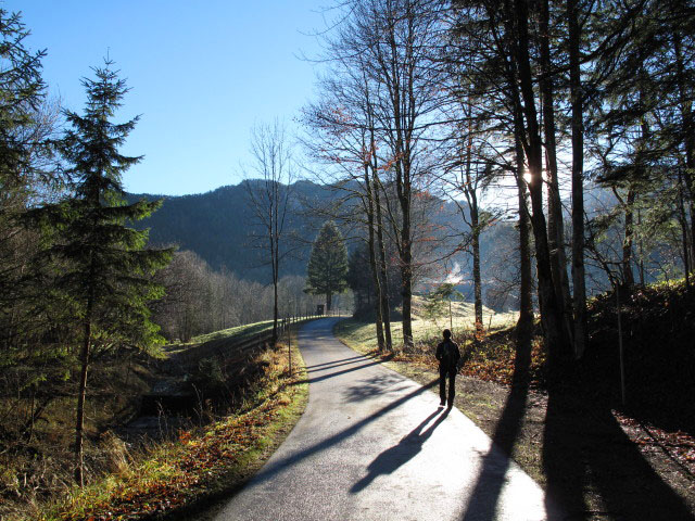 Carmen im Weißenbachtal zwischen Paxelhof und Zögernitz